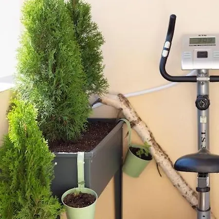 домът на билкарката