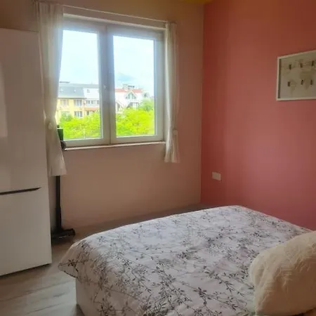 домът на билкарката