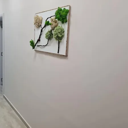 Apartment домът на билкарката *