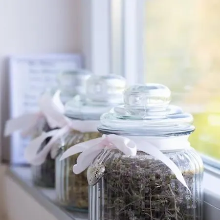 домът на билкарката Apartman Plovdiv