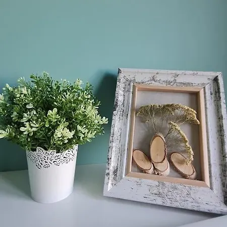 домът на билкарката Apartman *